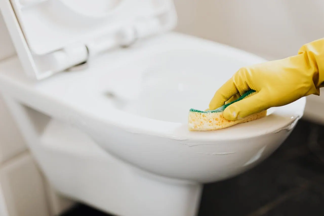 Deep Care Cleaning Plan - Detailed home cleaning